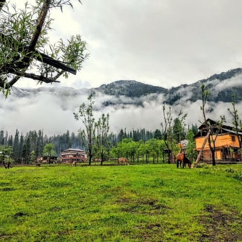 listing-details-carousel